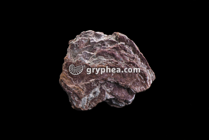 Marne irisée (France) - gryphea.org